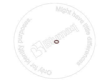 R909157539 ST КОЛЬЦО КРУГЛОГО СЕЧЕНИЯ