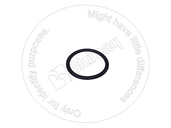 2027530 ST САЛЬНИК