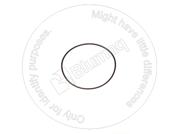 1P8362 ST КОЛЬЦО КРУГЛОГО СЕЧЕНИЯ