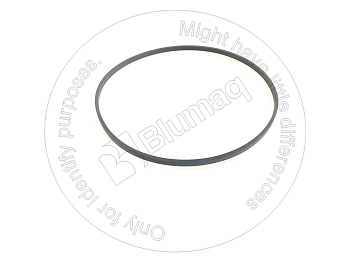 5P5589 OR САЛЬНИК