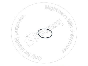 VOE975674 ST КОЛЬЦО КРУГЛОГО СЕЧЕНИЯ