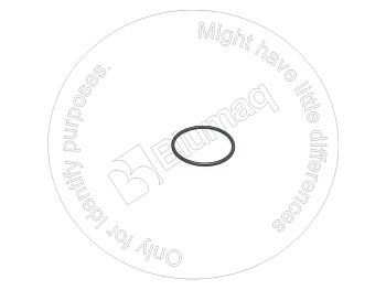 0781985 ST КОЛЬЦО КРУГЛОГО СЕЧЕНИЯ