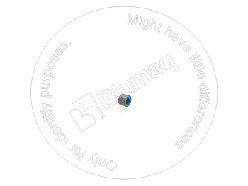 3128619 ST САЛЬНИК