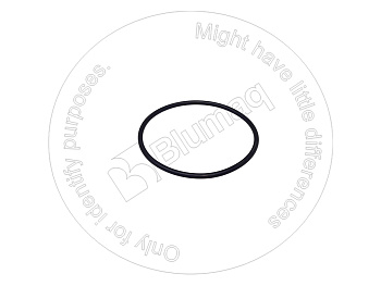 0776968 ST КОЛЬЦО КРУГЛОГО СЕЧЕНИЯ