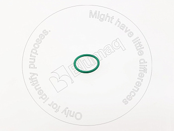 98458443 OR САЛЬНИК