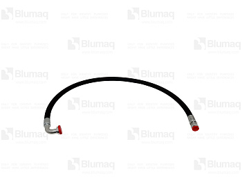 3174118 BQ HOSE