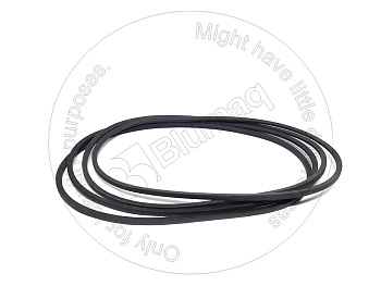 2441243 OE BELT KT