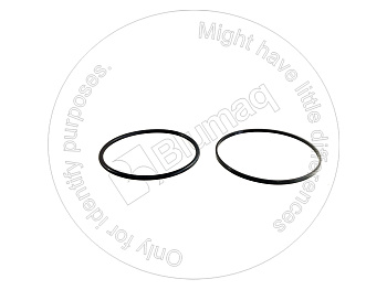 3Q7861 BQ САЛЬНИК