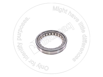 5D6658 OE RACE & RLR