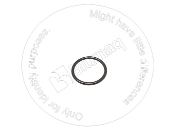 0951698 ST КОЛЬЦО КРУГЛОГО СЕЧЕНИЯ