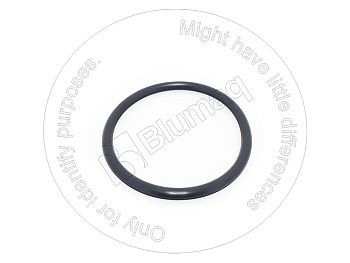 1079976 ST КОЛЬЦО КРУГЛОГО СЕЧЕНИЯ