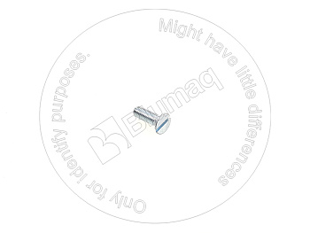 419926K110 OR БОЛТ