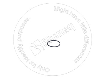 1N6002 ST КОЛЬЦО КРУГЛОГО СЕЧЕНИЯ