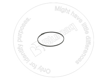 6Y5793 OE Кольцо уплотнительное