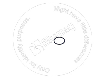 2303728 ST КОЛЬЦО КРУГЛОГО СЕЧЕНИЯ