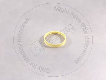 9R6223 ST САЛЬНИК