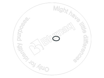 6V3251 OE КОЛЬЦО КРУГЛОГО СЕЧЕНИЯ
