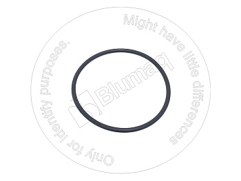 0317537 ST КОЛЬЦО КРУГЛОГО СЕЧЕНИЯ