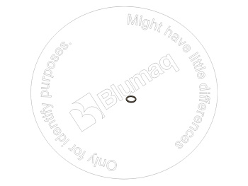 6L9795 BQ КОЛЬЦО КРУГЛОГО СЕЧЕНИЯ