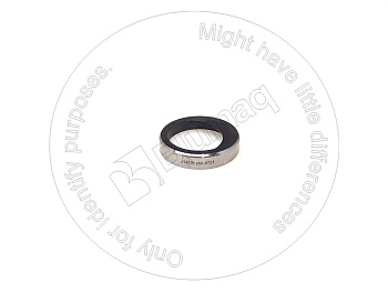 2668721 BQ INSERT V S