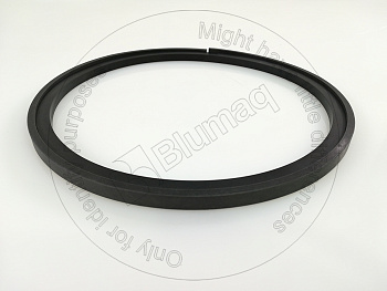 3L8538 ST САЛЬНИК