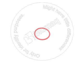 0640312 OE О-Кольцо