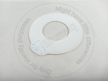20Y7031481 BQ ШАЙБА