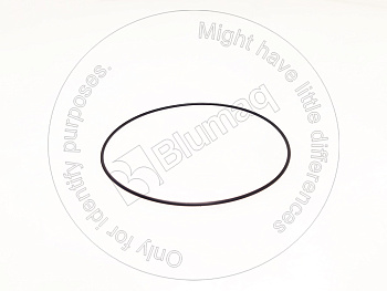 0969528 ST КОЛЬЦО КРУГЛОГО СЕЧЕНИЯ