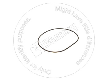 8L9241 ST КОЛЬЦО КРУГЛОГО СЕЧЕНИЯ