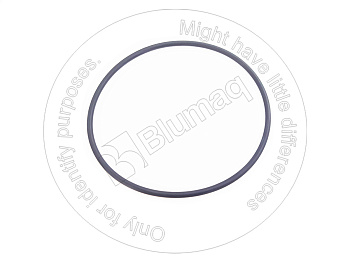 0700005165 ST КОЛЬЦО КРУГЛОГО СЕЧЕНИЯ