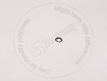 VOE4823486 OR САЛЬНИК