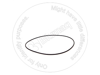 0700005400 ST КОЛЬЦО КРУГЛОГО СЕЧЕНИЯ