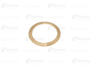 9R1726 OR ШАЙБА