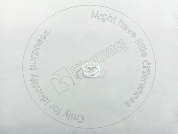 5W1707 OR ШАЙБА