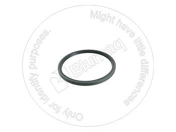 5P8190 OR САЛЬНИК