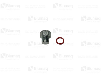 1553624 BQ PLUG W/ORING