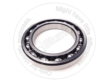 6024C4 OE ПОДШИПНИК