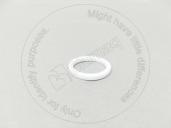 8J5476 ST САЛЬНИК