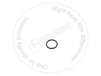 07000F2021 ST КОЛЬЦО КРУГЛОГО СЕЧЕНИЯ