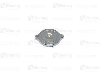 3324175 BQ CAP AS.-RA