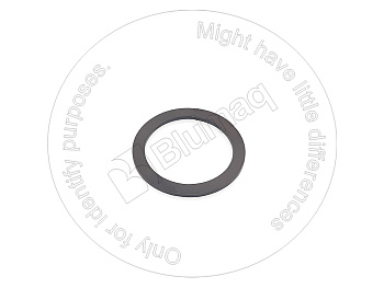 2P9556 BQ ШАЙБА