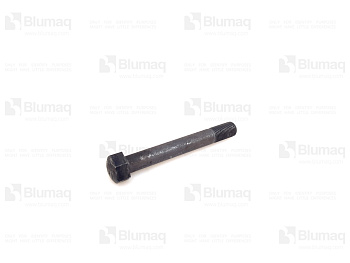 5P0569 OR BOLT