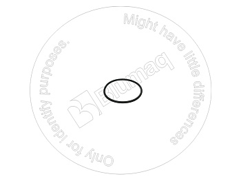 0983215 ST КОЛЬЦО КРУГЛОГО СЕЧЕНИЯ