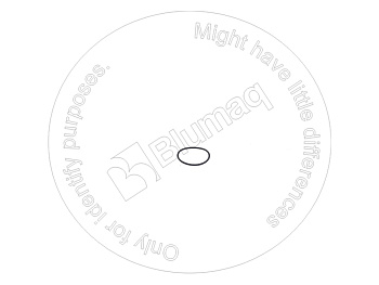 5K6077 ST КОЛЬЦО