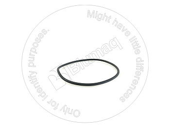 3S3978 OR САЛЬНИК