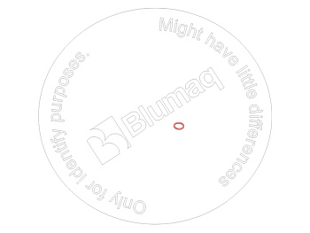 1991900 ST КОЛЬЦО КРУГЛОГО СЕЧЕНИЯ