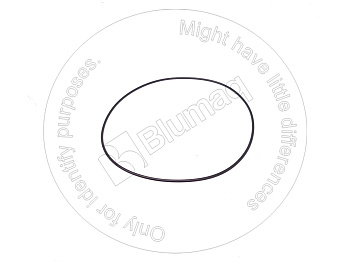 1701612 ST КОЛЬЦО КРУГЛОГО СЕЧЕНИЯ