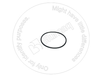 4785525 BQ КОЛЬЦО КРУГЛОГО СЕЧЕНИЯ