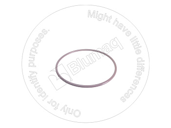 2386241 ST КОЛЬЦО КРУГЛОГО СЕЧЕНИЯ