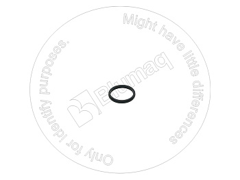 0781972 ST САЛЬНИК